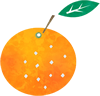みかんのイラスト